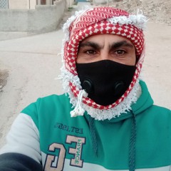 amer zyuod