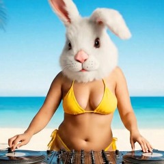 ☀️ Sundaze FM 🌴