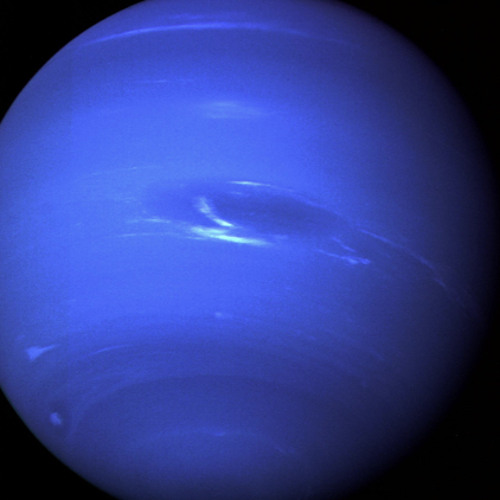Neptune’s avatar