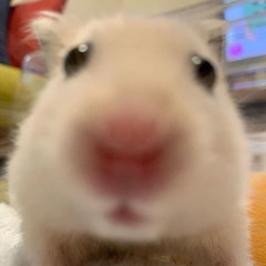 MIM