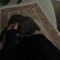 Shahd Gamal