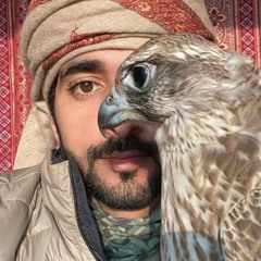 ميثا