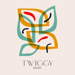 Twiggy Music