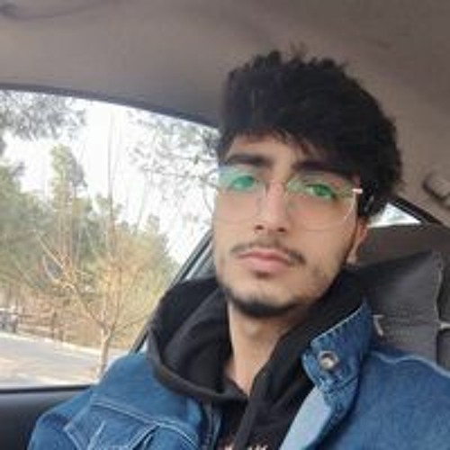 Mohammad Mahdi Noroozi’s avatar