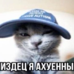 Projekt VIMPEЯR