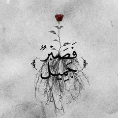Asmaa Elnagar