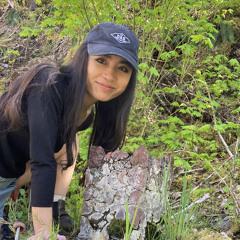 Zoe Stern Stillinger 2022