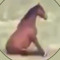 Horse_Breaker69