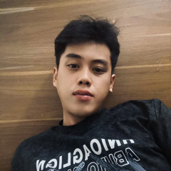 Ho Nguyen Minh Phuong