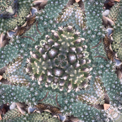 Lady Houndstooth's Puffe, No. 2 (demo)