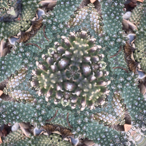 Marginalia Of Error (demo)