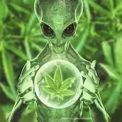 2099exxkklusive