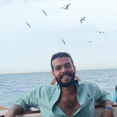 Mohamed Gaballah Gabr