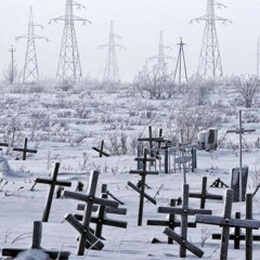 Никита Борталевич