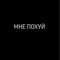 Мне похуй