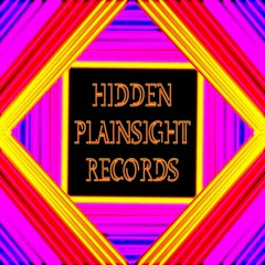 Hidden Plainsight Records LLC