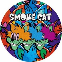 Smoke cat