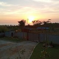 ប្រូ ទី