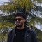 Amir Ali