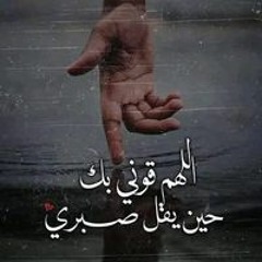 ابو ادم يحيي نوار