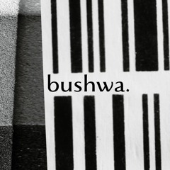 bushwa.