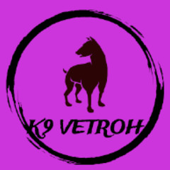 lil vett