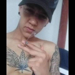 psycorearielweed