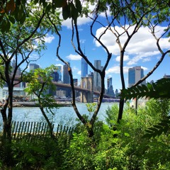 ManhattanNYC
