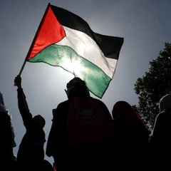 مؤمنة محمود