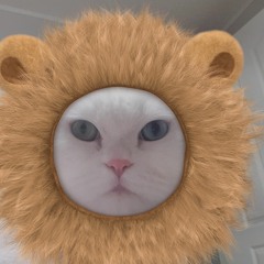 yahong