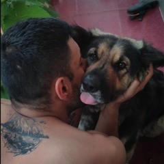 Arash