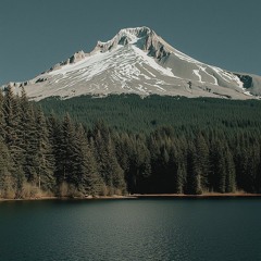 Pozer Go Dumb (Unreleased)