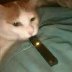 bounzecats lithuanian robot 3