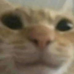 tord