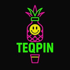 AINT NO FUN (TEQMIX)