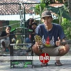 Addobae