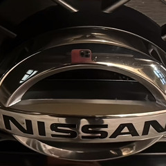 Thnyanals