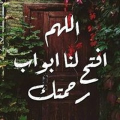 Amr Mustafa Abdelaziz