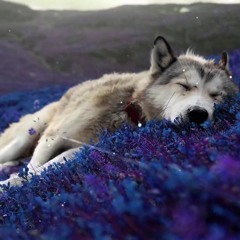relaxation