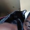 lilque