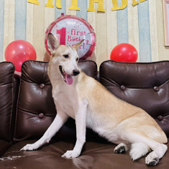 KenJames Galicia Magbanua