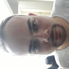 LucaSim
