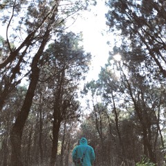 Lê Đức Anh Tuấn