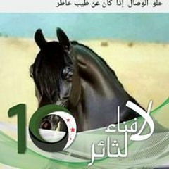 Alaa Mahsob