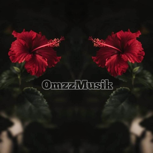 OmzzMusik’s avatar