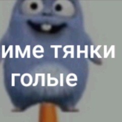 креветка
