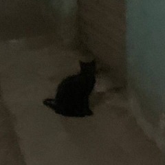 الدولاب