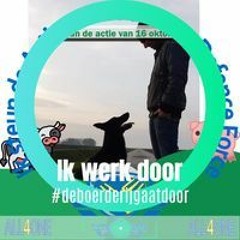 Jeroen Boomstra