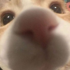 김강민