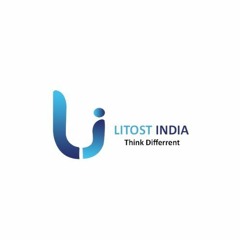 Cruising To Success How Litost India Leads The Way In Cab Branding Solutions In Noida